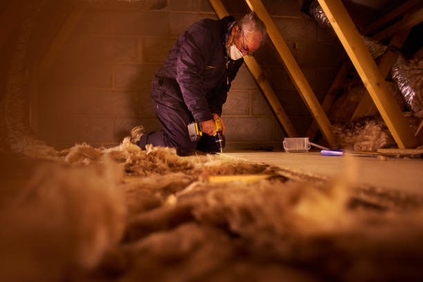 Best Geographic-Specific Insulation Services in Lake Mathews, CA