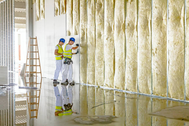 Best Specialized Insulation Services in Lake Mathews, CA